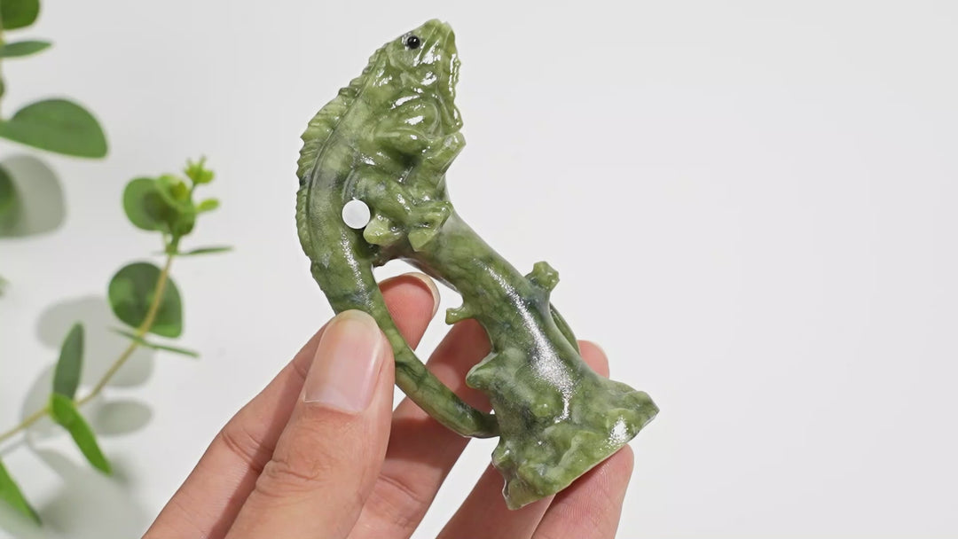 A Slightly Imperfect Natural Crystal Lizard On Branch