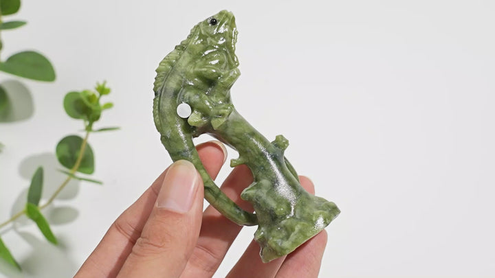 A Slightly Imperfect Natural Crystal Lizard On Branch
