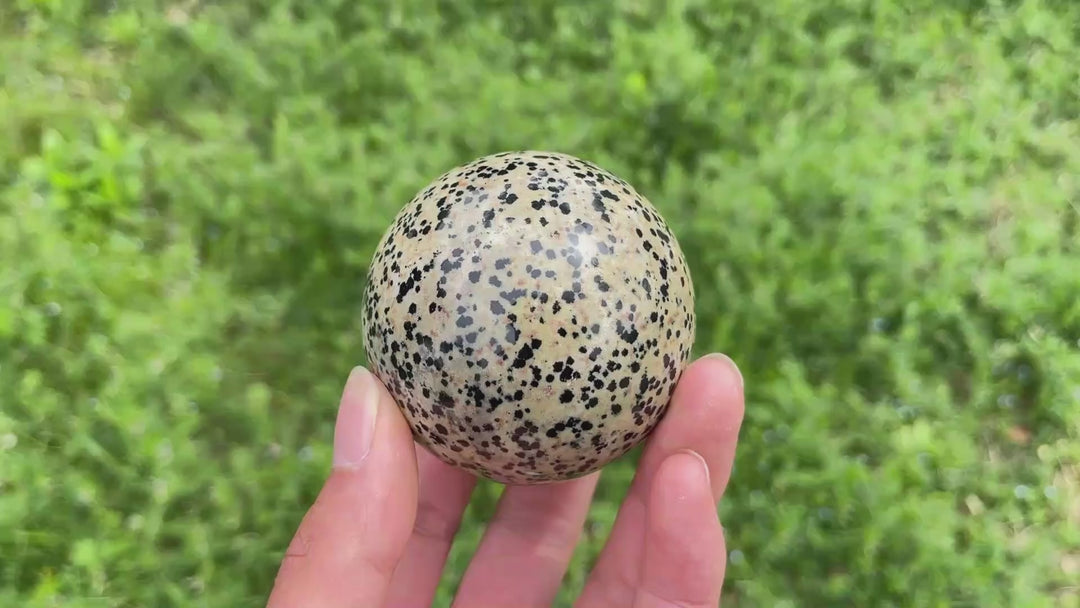 Natural Crystal Dalmatian Jasper Sphere