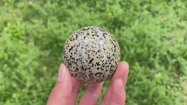 Natural Crystal Dalmatian Jasper Sphere