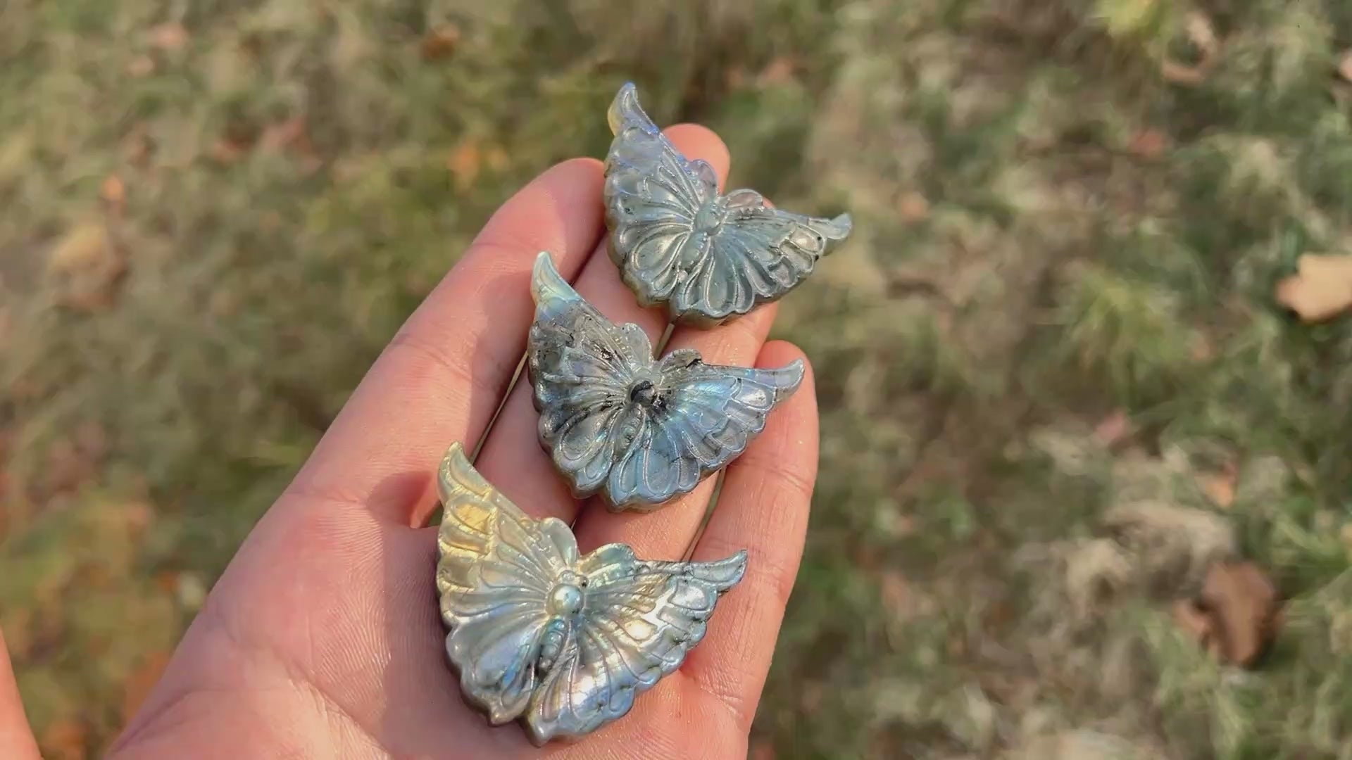 Natural Crystal Carving Labradorite Butterfly – KiKi Crystal