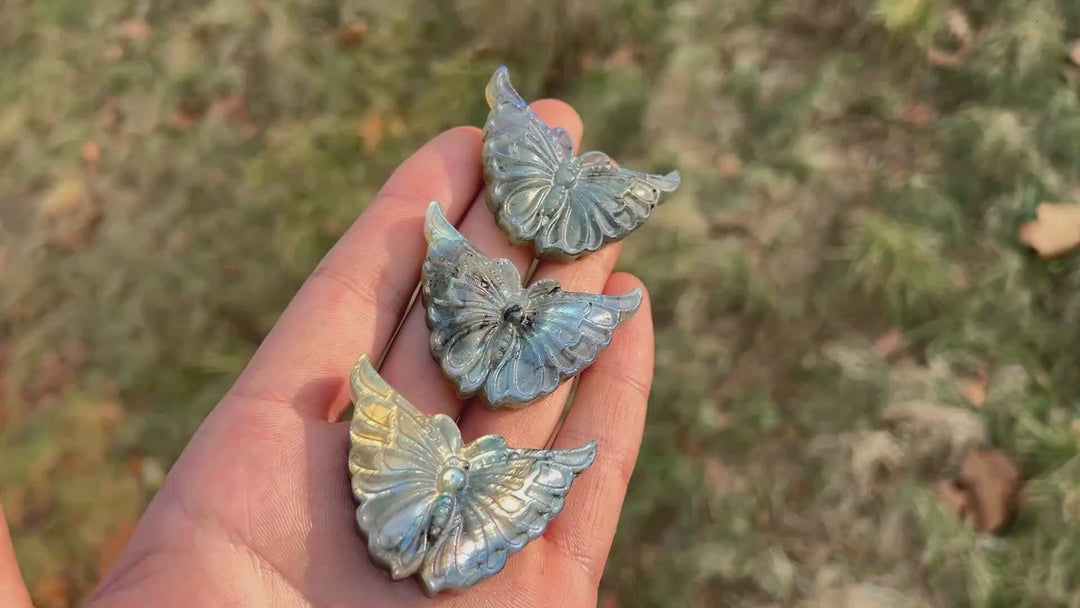 Natural Crystal Carvng Labradorite Butterfly