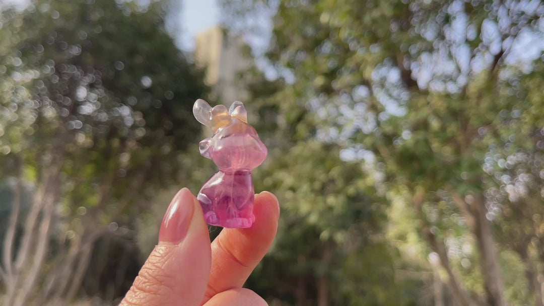 Natural Fluorite Christmas Reindeer