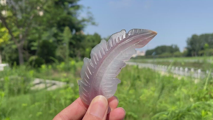 Natural Crystal Agate Feather Carving