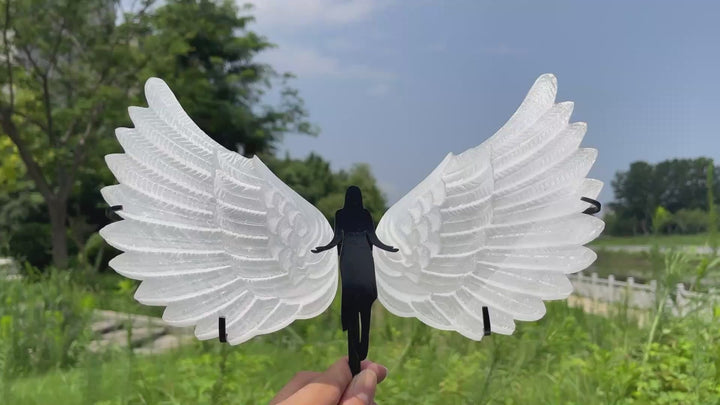 Unique,A Slightly Imperfect Natural Crystal Selenite Wings Carving