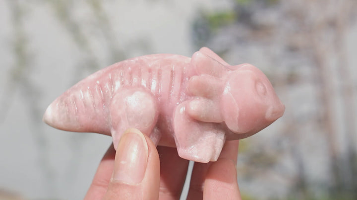 Natural Crystal Carving Pink Opal Salamander