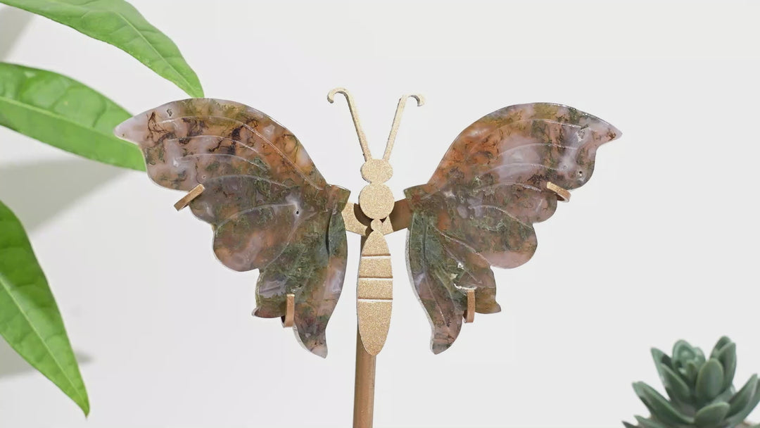 Unique,A Slightly Imperfect Natural Moss Agate Butterfly Wing Display