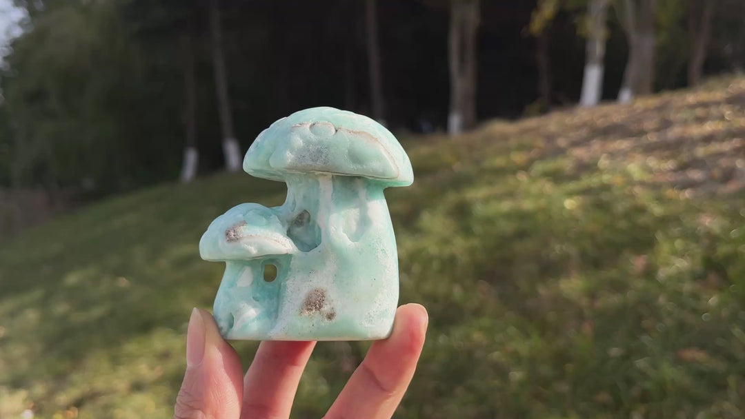 Natural Hemimorphite Mushroom