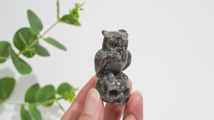Natural Crystal Owl-On-Skull Carving