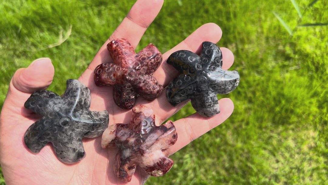Natural Crystal Starfish