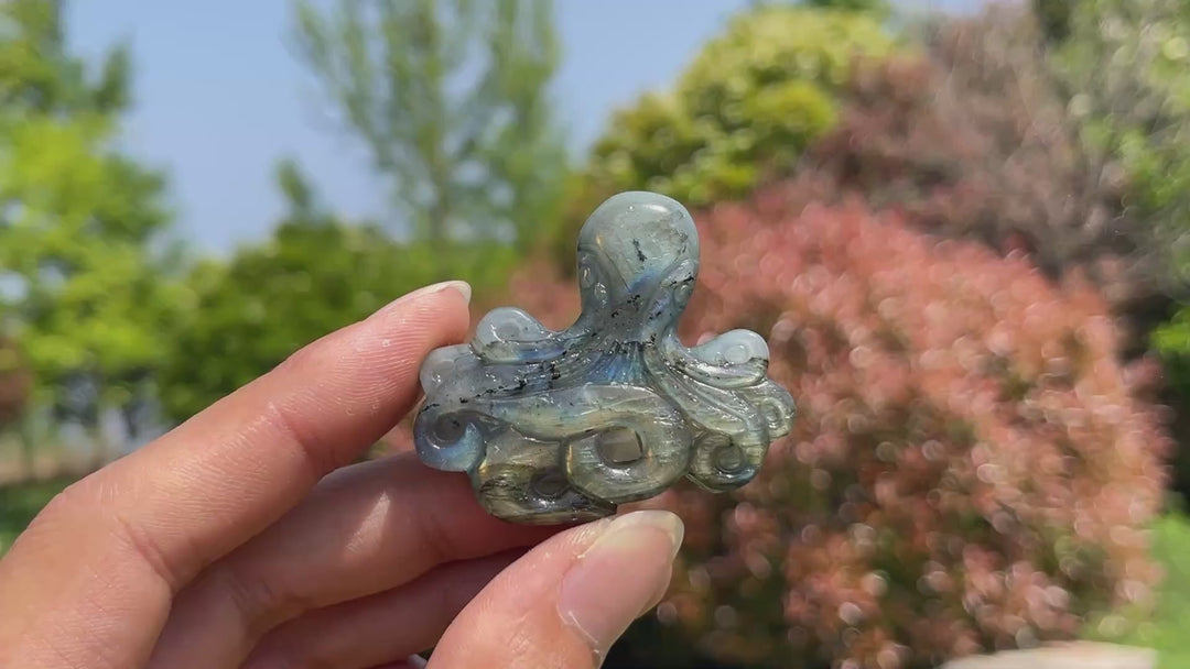 Natural Crystal Labradorite Octopus Carving