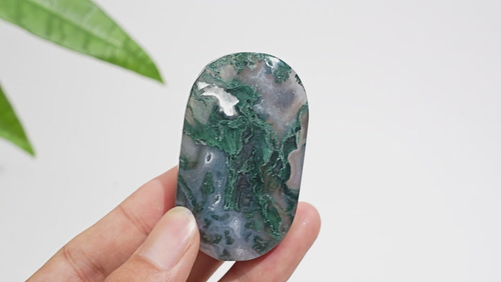 Natural Moss Agate Exquisite Crystal Palmstone