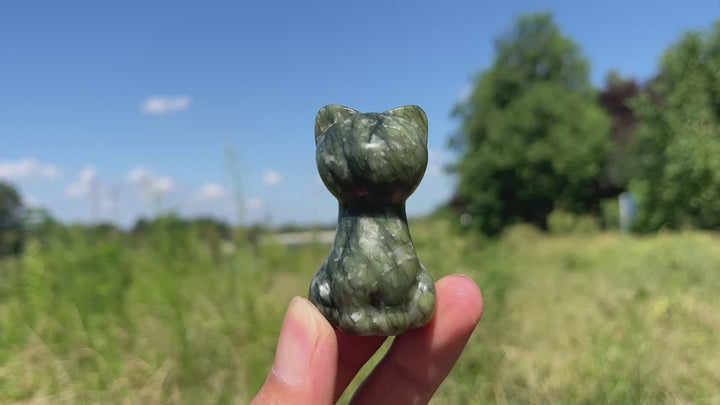 Natural Crystal Carving Faceless Cat