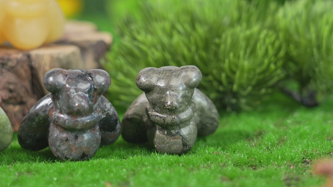 Natural Crystal Carving Housefly