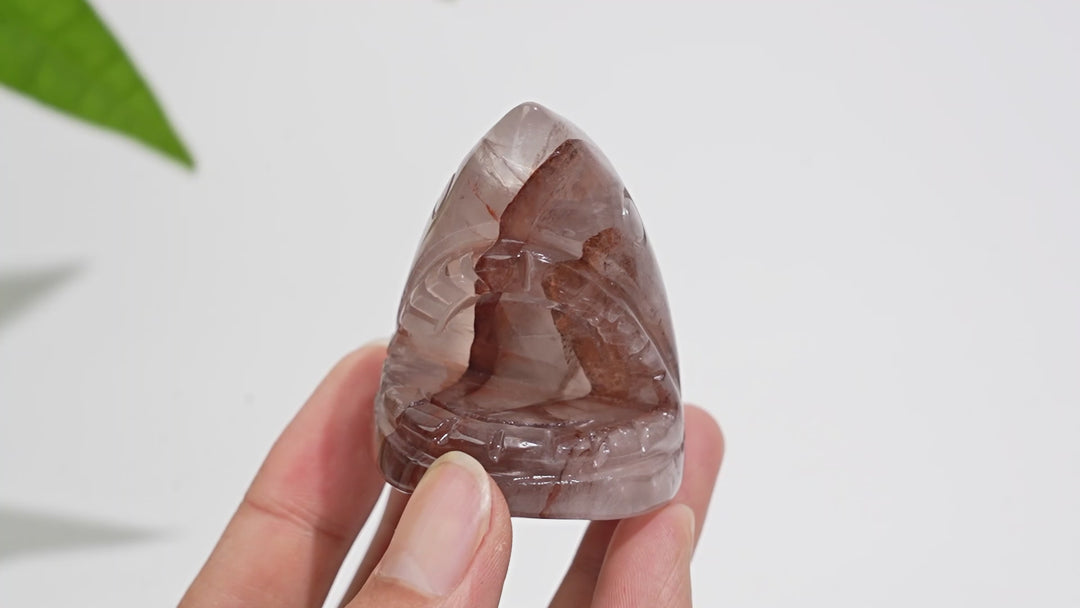 Natural Crystal Fire Quartz Shark Head Carving