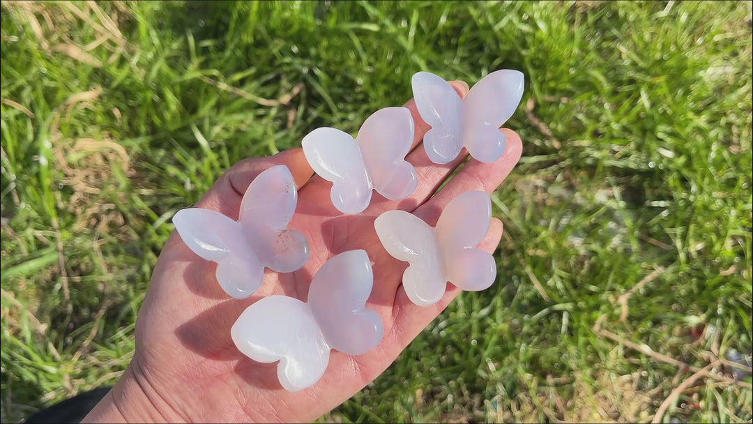 Natural Blue Chalcedony 3D Butterfly