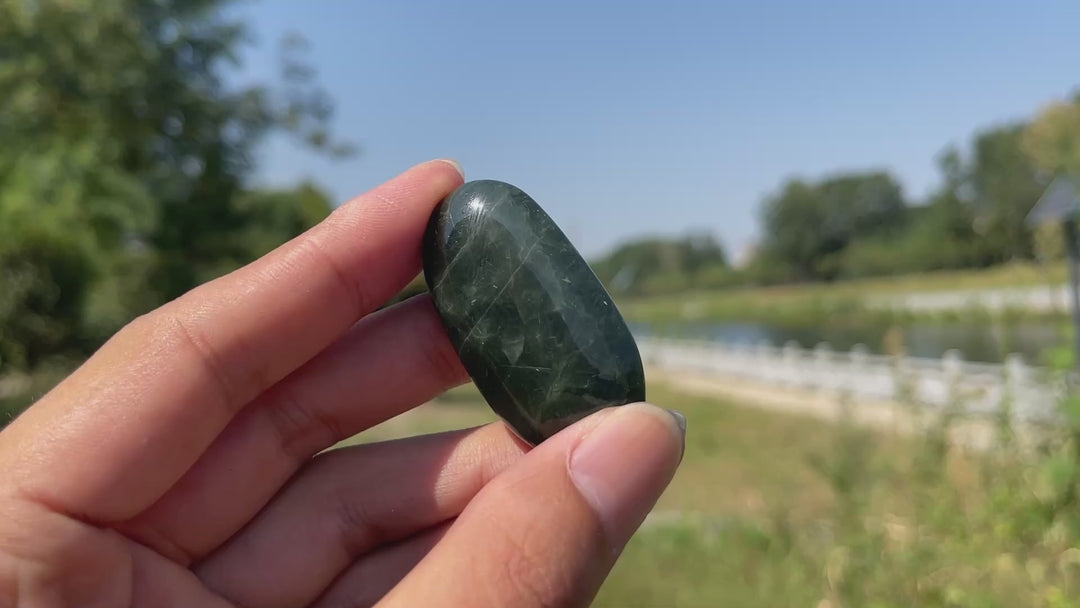 Natural Crystal Actinolite In Clear Quartz Palm Stone