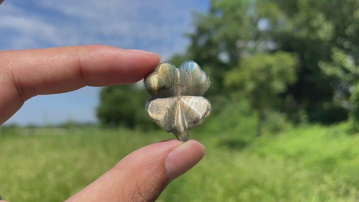 A Slightly Imperfect Natural Labradorite Four Leaf Clover Carving