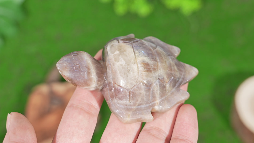 Natural Sunstone-Moonstone Turtle