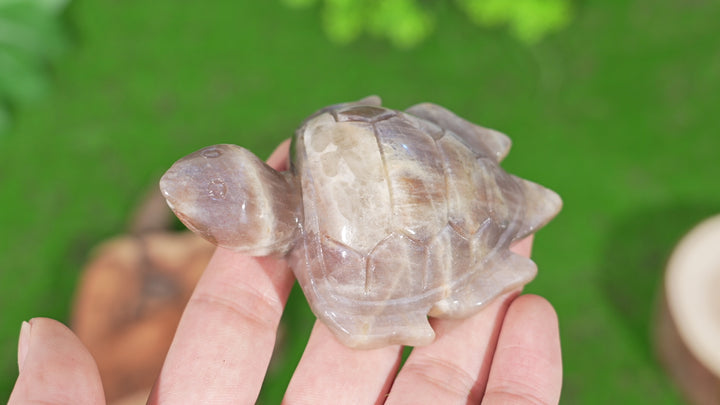 Natural Sunstone-Moonstone Turtle