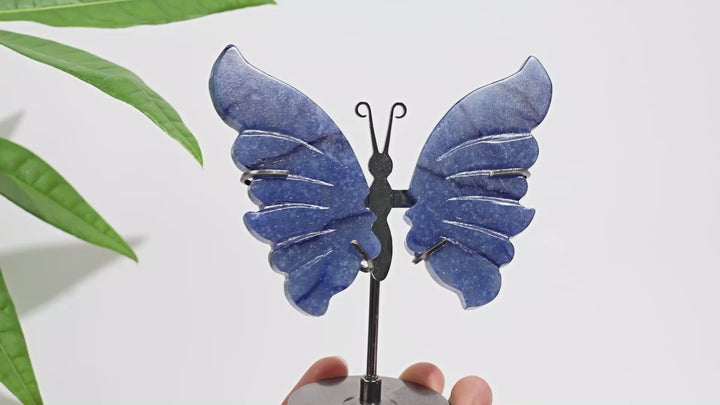 Natural Crystal Blue Aventurine Butterfly Display