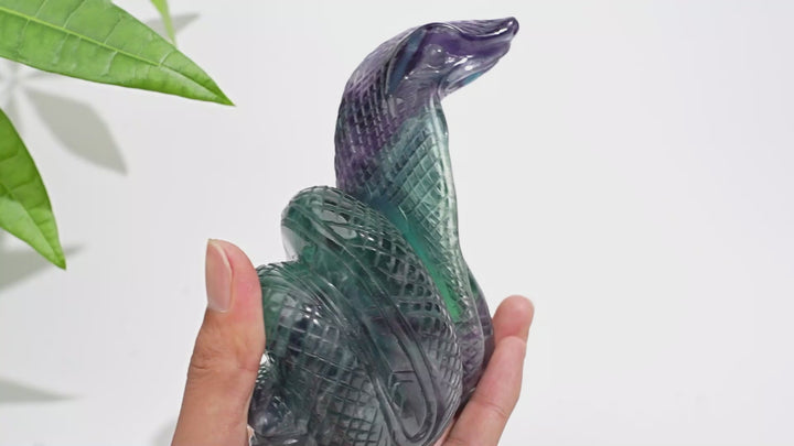 Unique,Natural Crystal Fluorite Cobra Carving