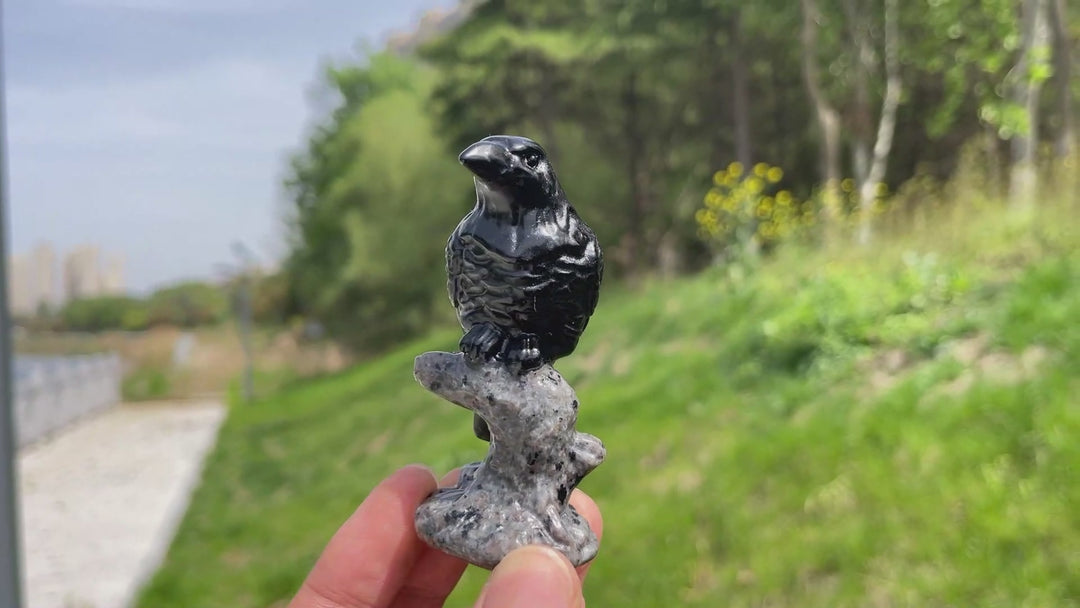 Natural Black Obsidian Raven On Tree Stump Carving