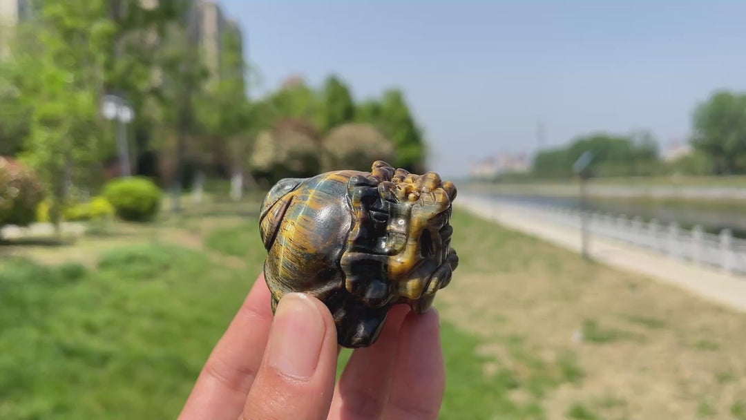 Natural Tiger Eye Dragon Turtle Carving