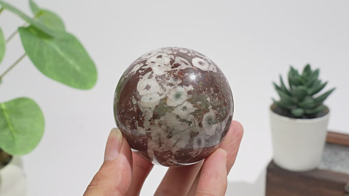 Natural Crystal Round Crinoid Fossil Sphere
