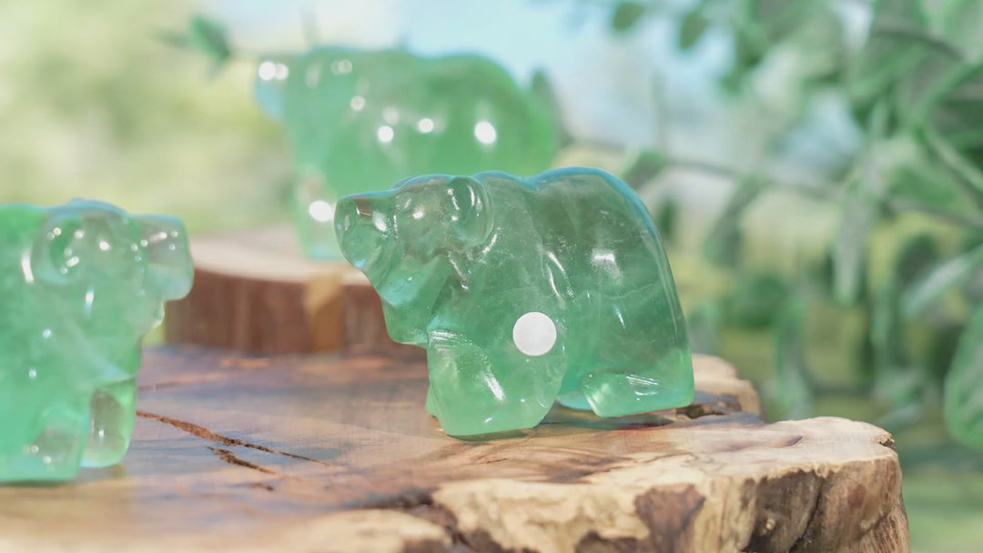 Natural Green Fluorite Bear