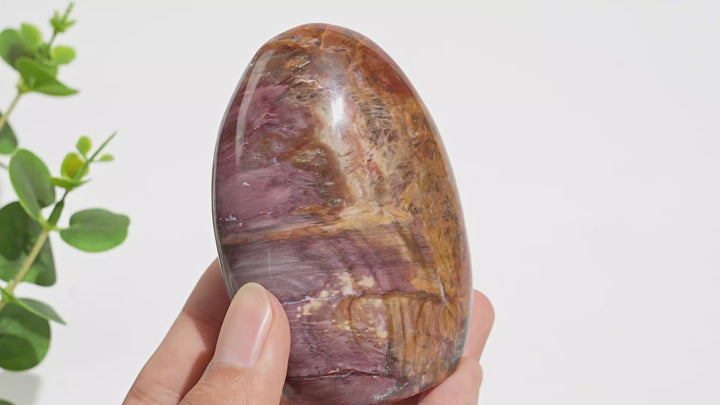 Unique,Natural Crystal Petrified Wood Ornament