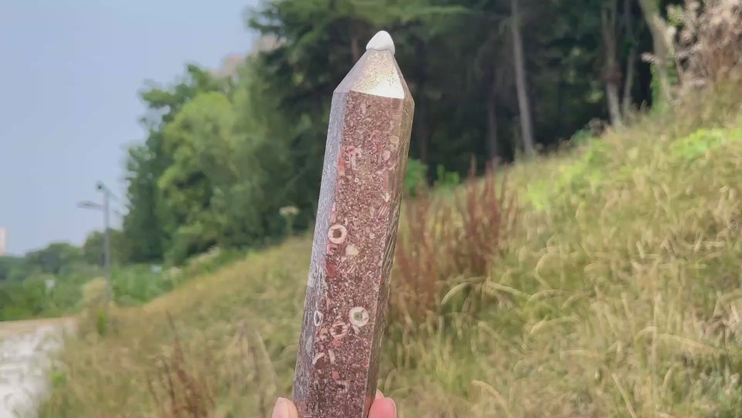 Unique,Natural Crystal Crinoid Fossil Point