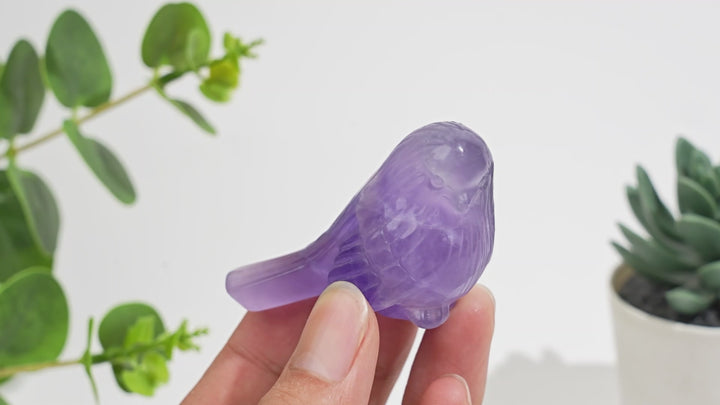 Natural Crystal Delicate Chubby Songbird Mini Carving