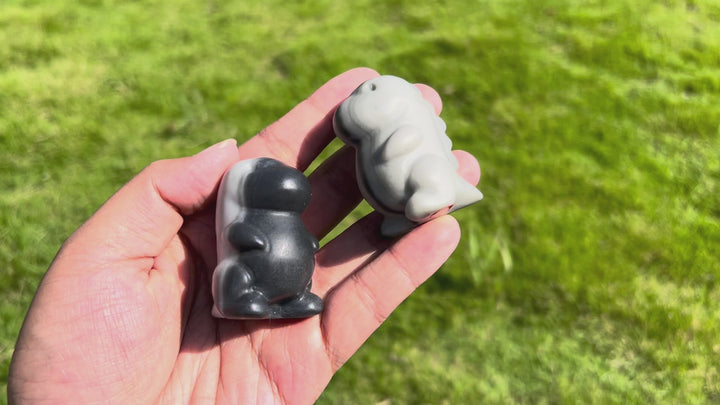 Taiji Stone Dragon Baby