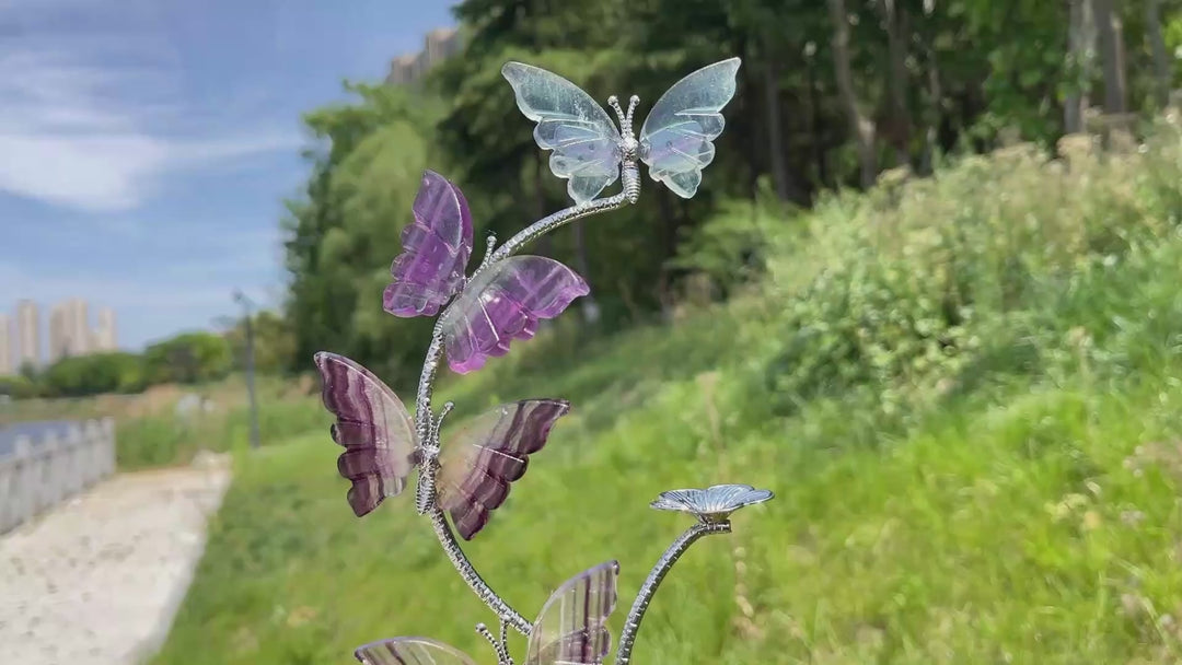 A Slightly Imperfect Natural Fluorite Butterfly Sphere Stand