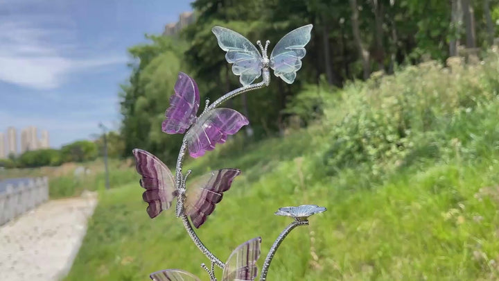 A Slightly Imperfect Natural Fluorite Butterfly Sphere Stand