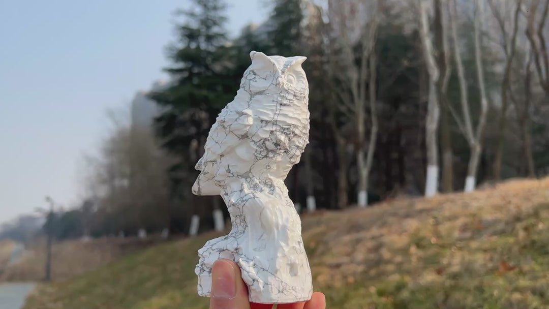 Natural Crystal Howlite Owl Carving