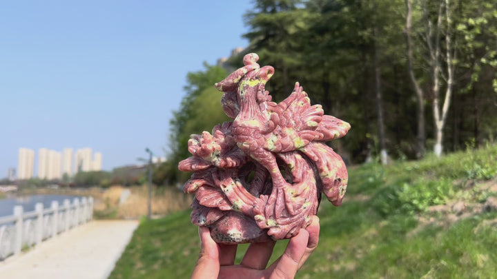 Unique,Natural Red Calcite with Serpentine and Phlogopite Phoenix Carving