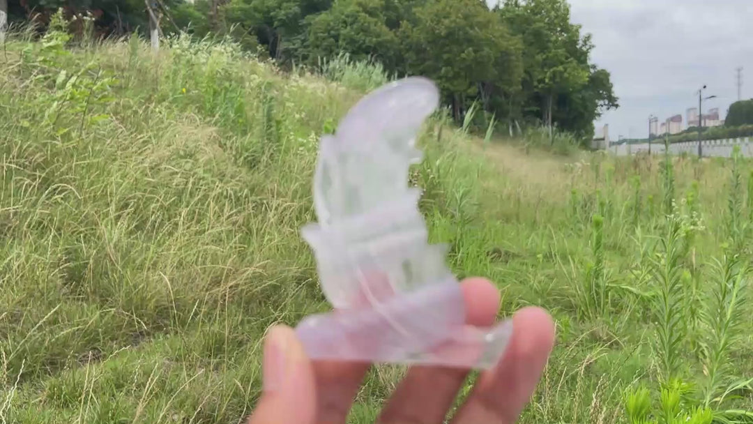 Natural Soft Fluorite Feather Carving
