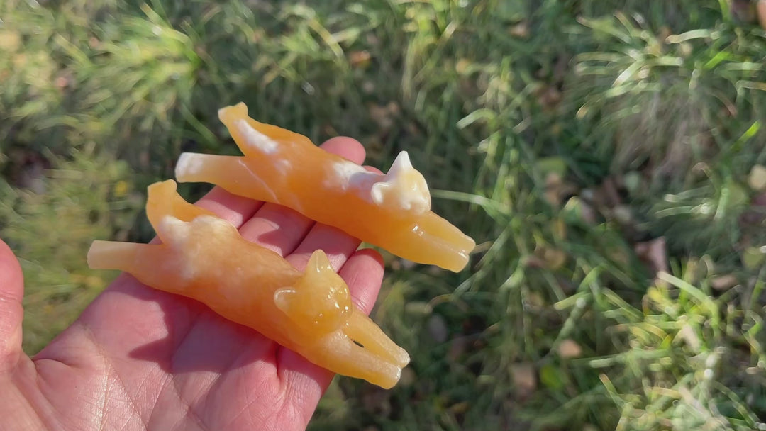 Natural Yellow Calcite Long Lying Cat