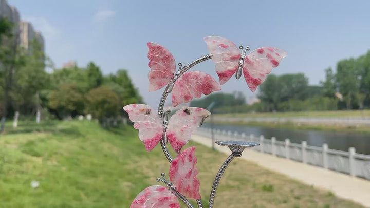 A Slightly Imperfect Natural Crystal Rhodonite In Quartz Butterfly Sphere Stand