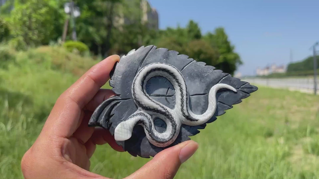 Unique, Natural TaiJi Stone Snake On Leaf Carving