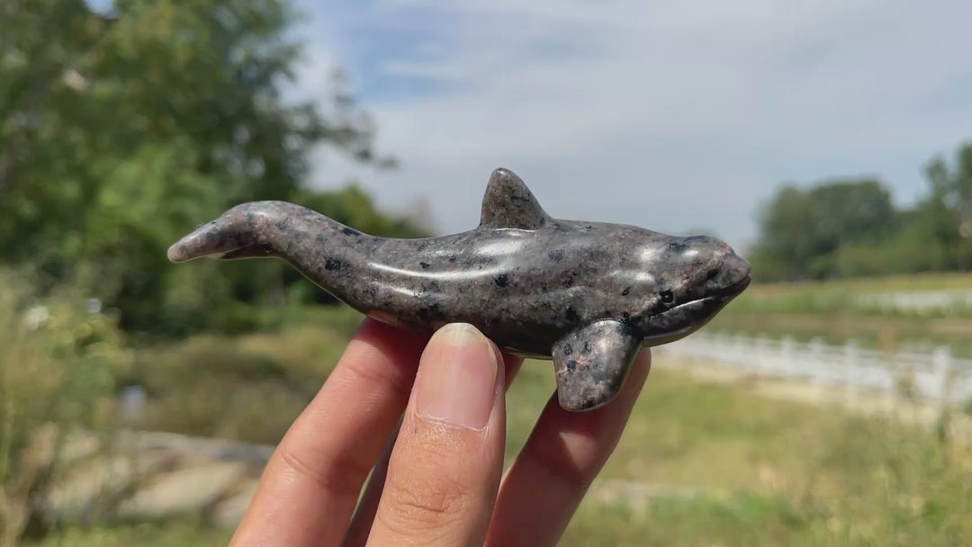 Natural Crystal Cute Orca Carving