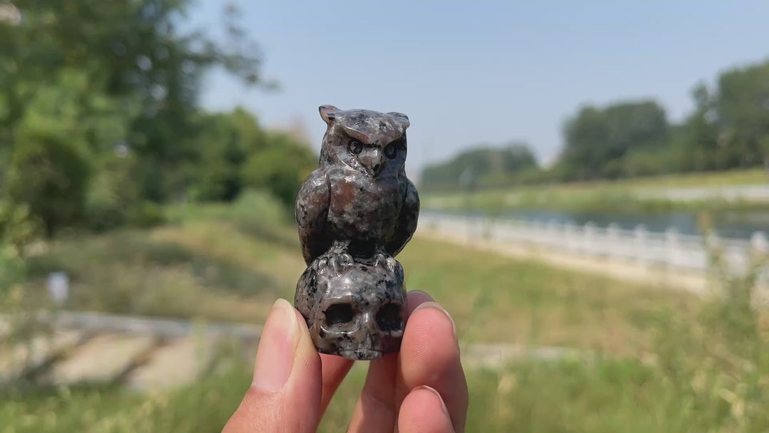 Natural Crystal Owl-On-Skull Carving