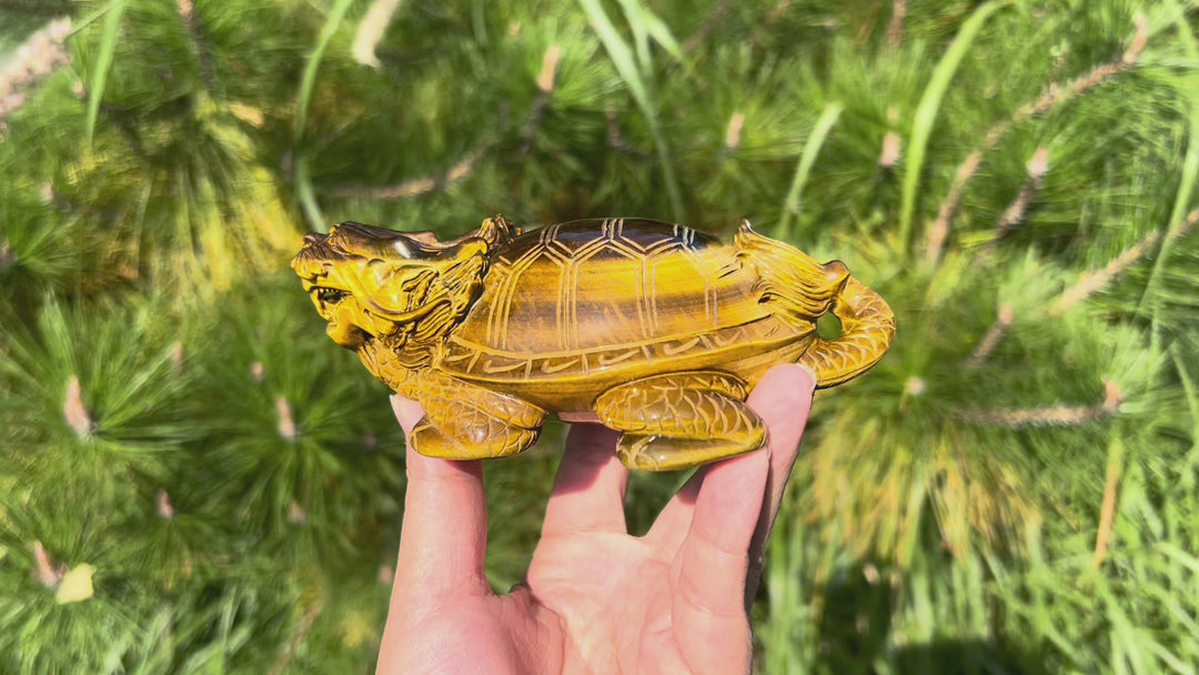 Natural Tiger Eye Carving Dragon Turtle