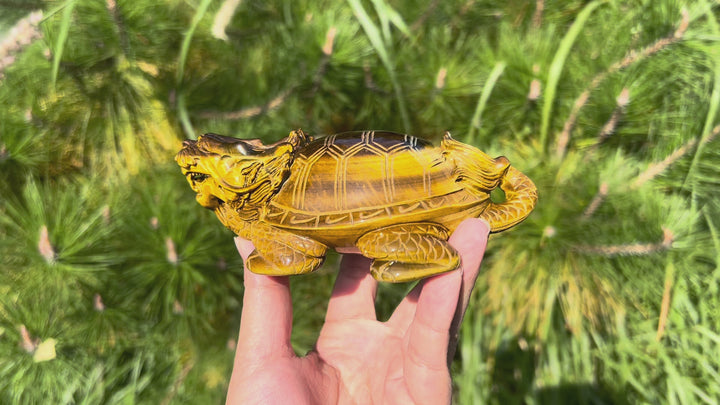 Natural Tiger Eye Carving Dragon Turtle