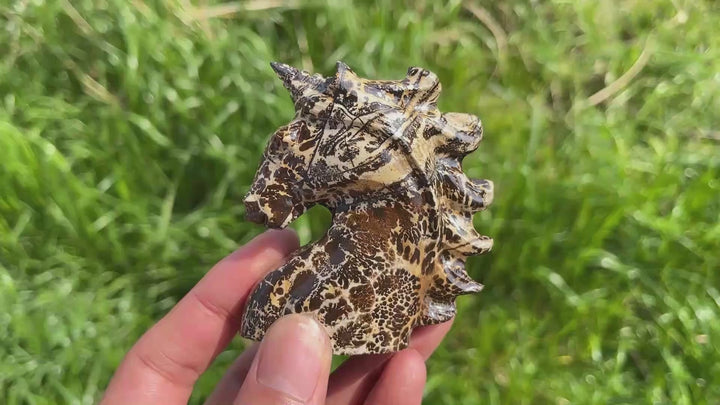 Natural Picture Jasper Crystal Unicorn Carving