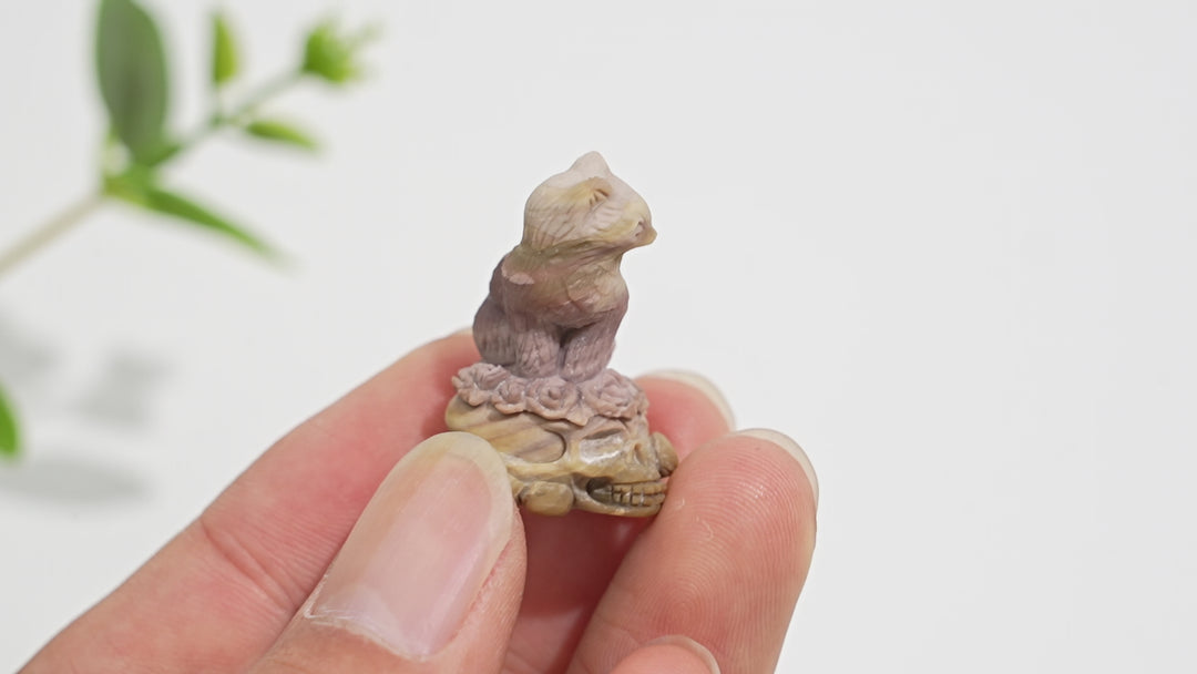 Natural Crystal Alashan Agate Cat On Skull