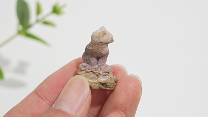Natural Crystal Alashan Agate Cat On Skull