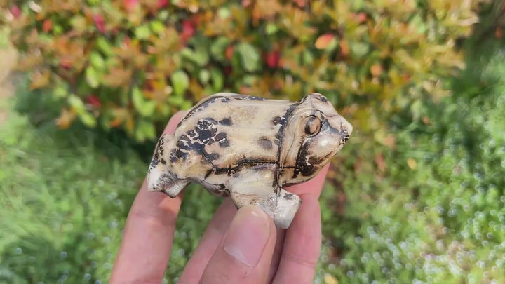 Natural Crystal Picture Jasper Carved Frog